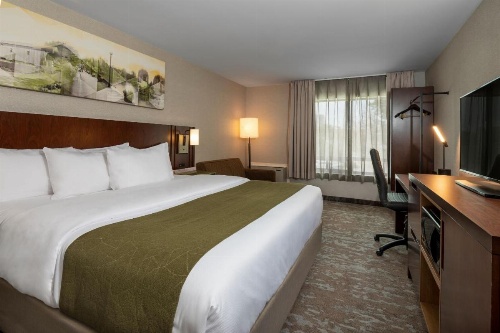 Comfort Inn Hamilton image 9